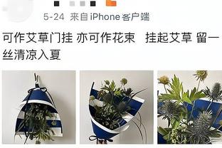 ?正在见证！东契奇生涯场均得分历史第三 仅次于乔丹张伯伦